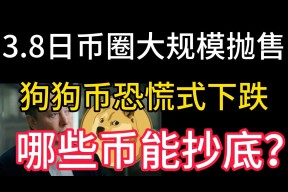 开云体育官网-TON遭遇大幅下滑超MATIC%，投资者恐慌性抛售，市场关注