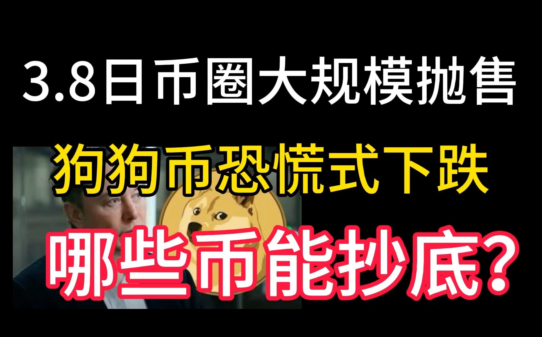 TON遭遇大幅下滑超MATIC%，投资者恐慌性抛售，市场关注